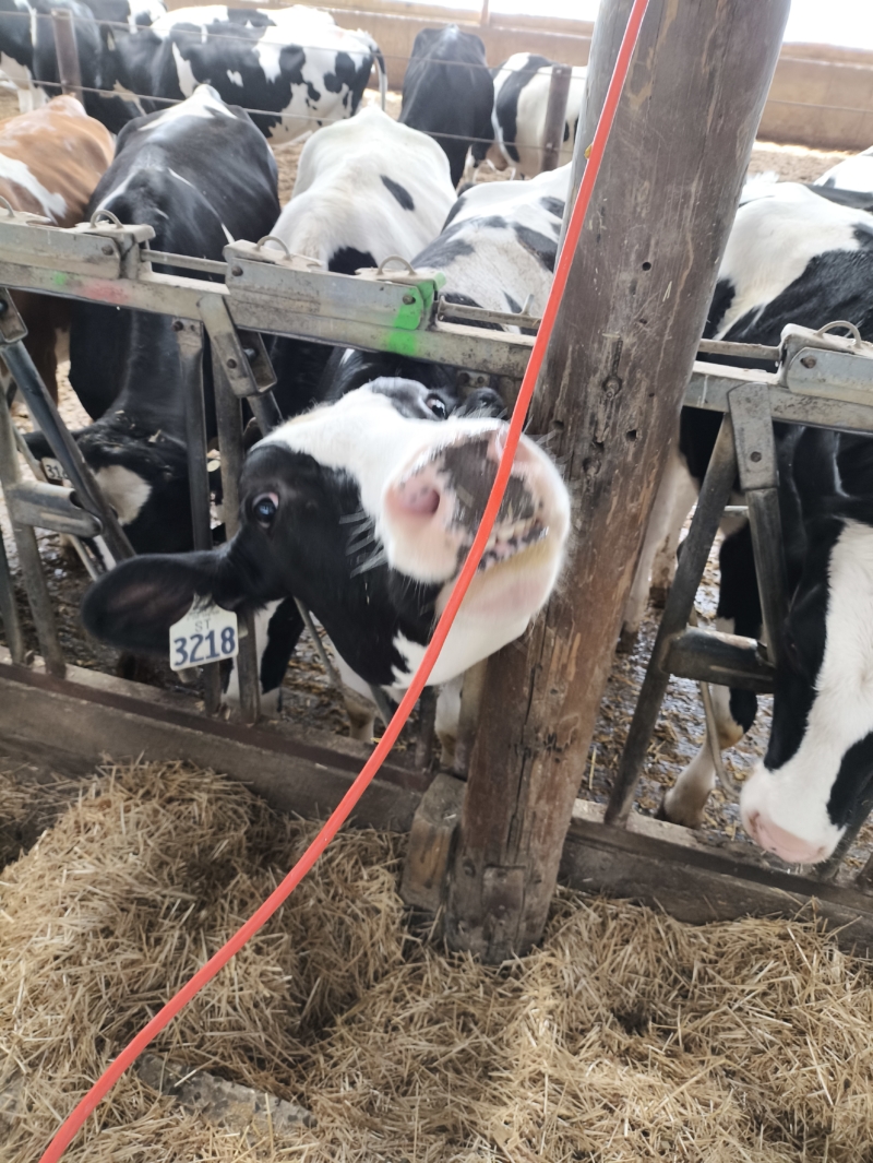 <h1>Global <span style="background-color: #590ebf; color: #ffffff;"> certification success</span> for Farmfit </h1>